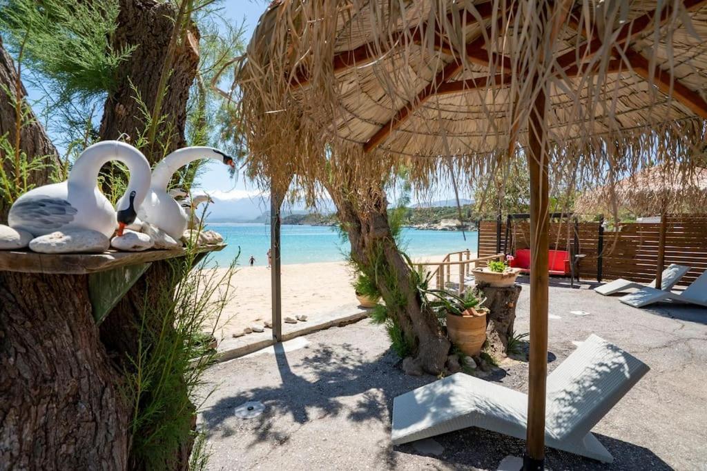 Sea And Sun Metaxy Mas, Brand-New, Beachfront ! Chania  Bagian luar foto
